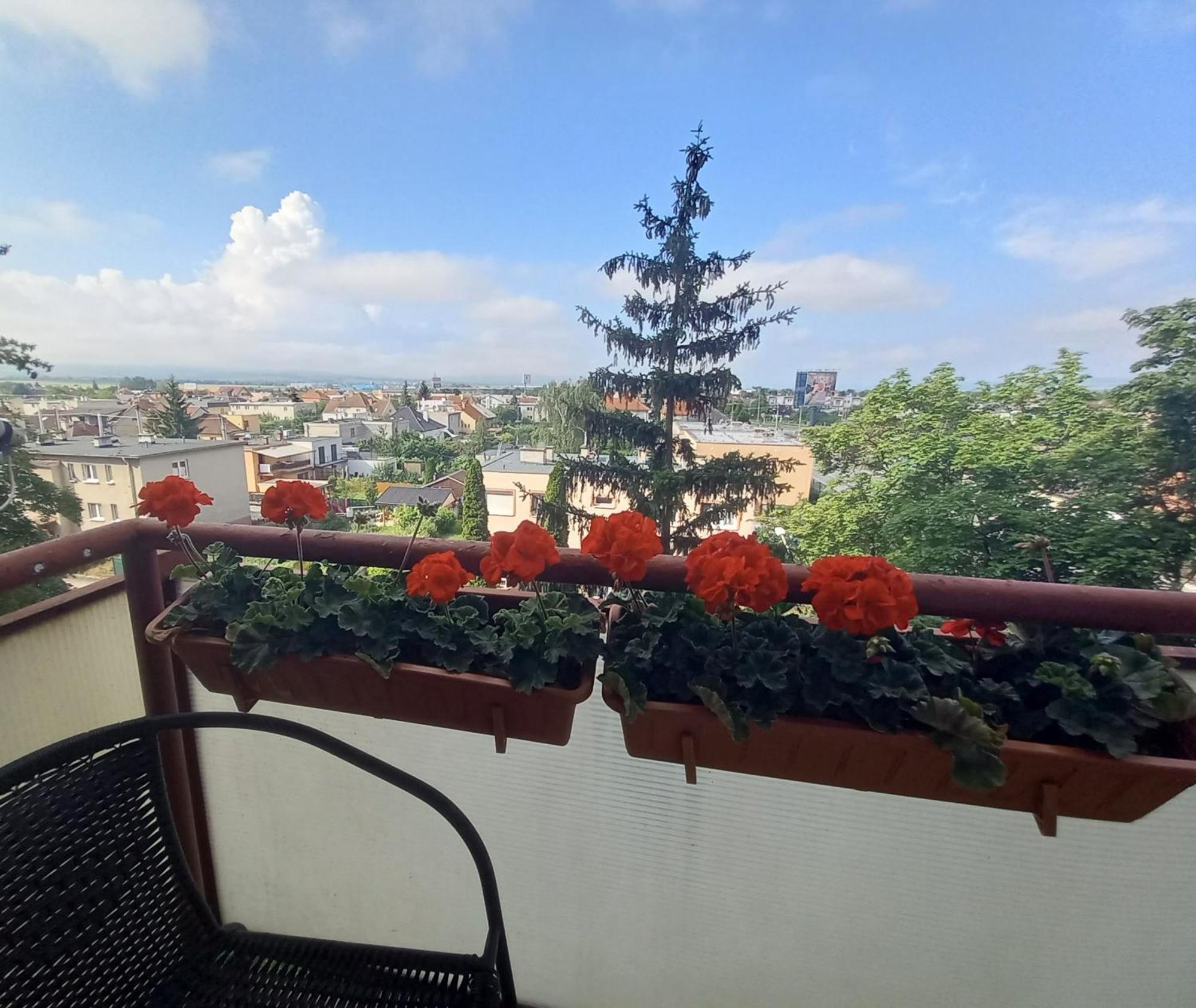 Apartman Lienka Free Parking City Centre Тренчин Екстер'єр фото
